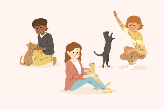 Les amoureux des chats : des âmes bienveillantes à féliciter 🐱❤️