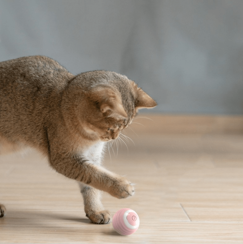 balle chat intelligente mouv'ball rose