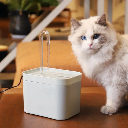 Waterly - La fontaine à eau pour chat
