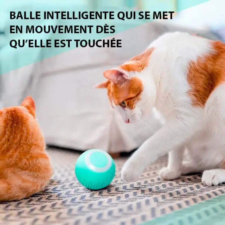 balle chat intelligente mouv'ball automatique