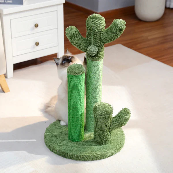Caktus - Le cactus griffoir à chat
